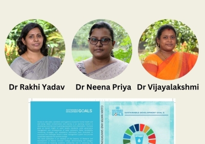 SDG 6